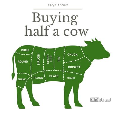 buying half a cow